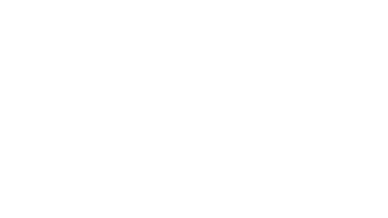 Strums & Co Logo White